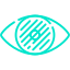 Visual Disorder