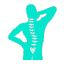 Spinal Cord